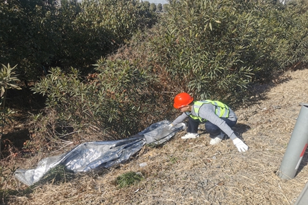 嘉通信息2021-14-3_集團.jpg 嘉通信息2021-14-3_集團.jpg